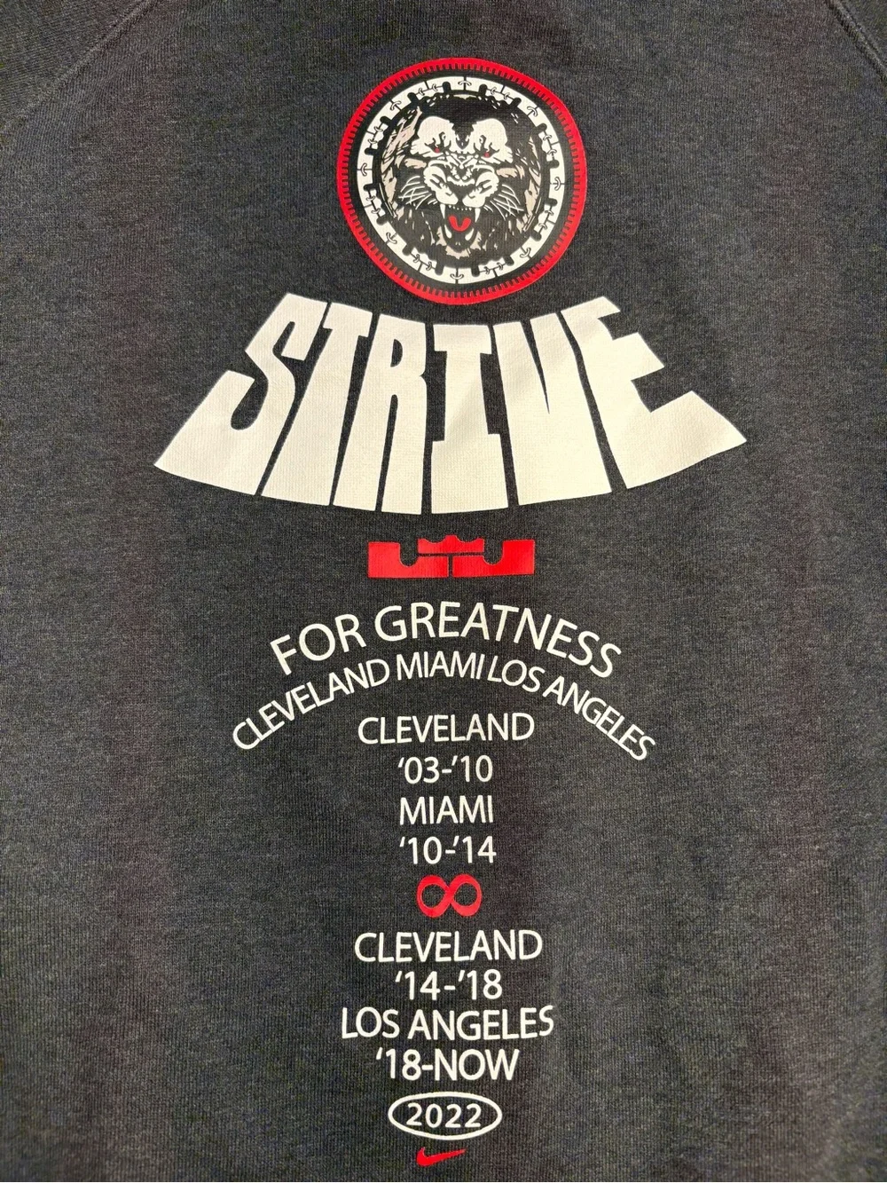 Nike Hoodie Mens S Gray Lebron James Strive Sweater Loose Relaxed Fit
